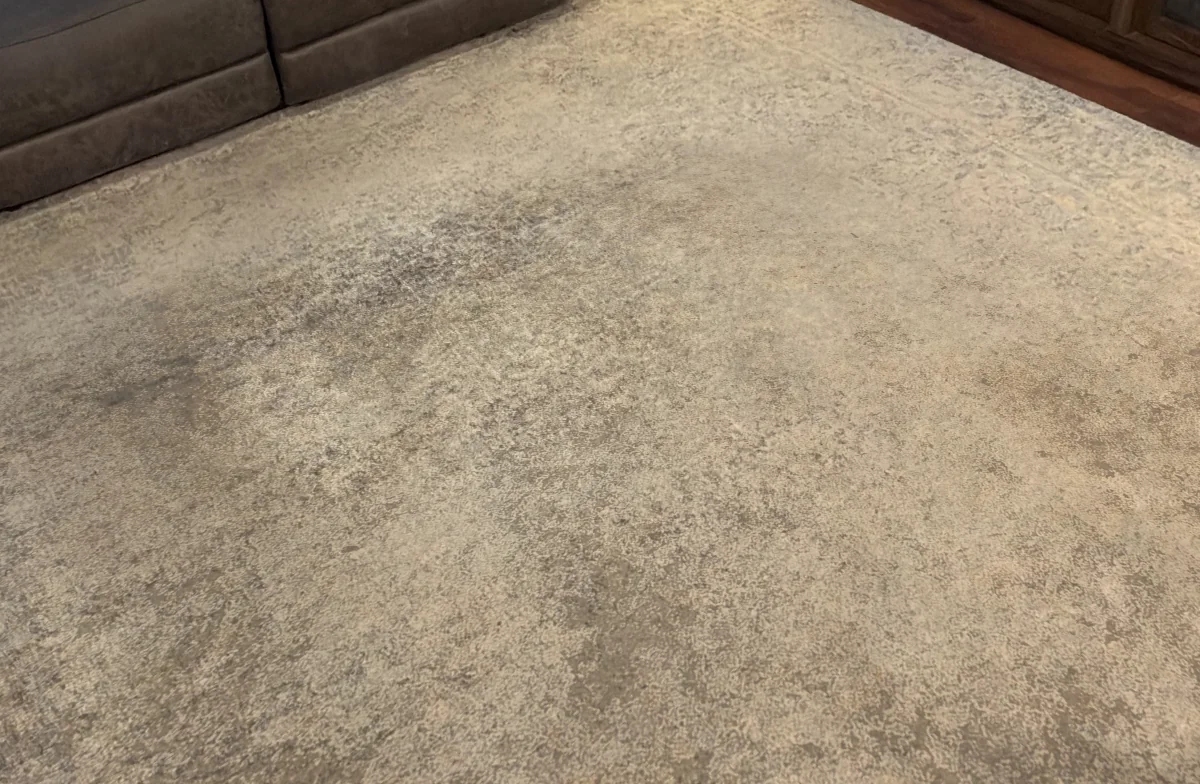Area rug before cleaning